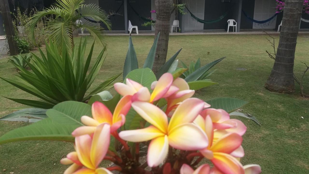 Capri Hotel เซาฟรันซิสโกโดซุล ภายนอก รูปภาพ